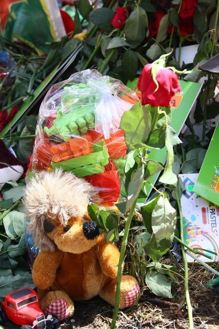 Bu Ortaçağ'ın daha gerisinde kalmış barbarlar çetesini elbette alt edecek, genç arkadaşlarımızın getirdiği özgürlük fidanları hem Rojova'da hem Kobani'de hem de Suruç'ta halkımız tarafından yeşertilecek, anıları yaşatılacaktır." -