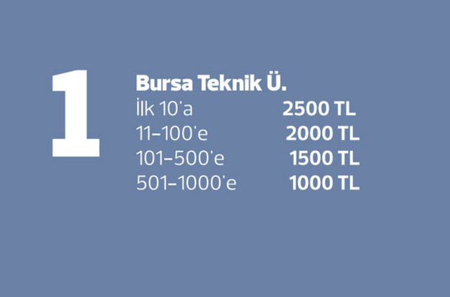 DEVLET ÜNİVERSİTELERİ