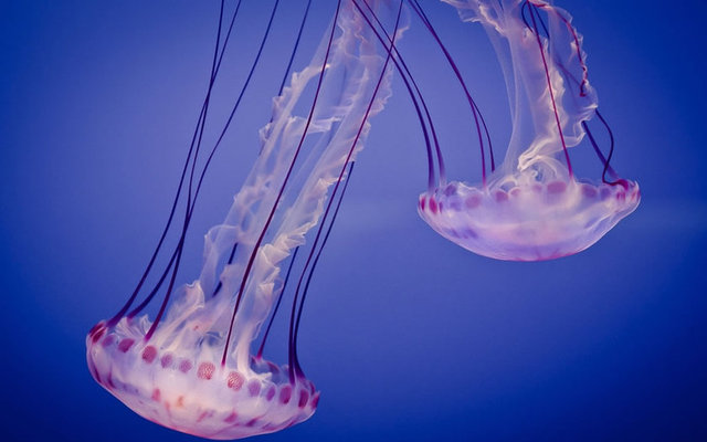 Ve en önemlisi vakit kaybetmeden bir sağlık merkezine başvurun.