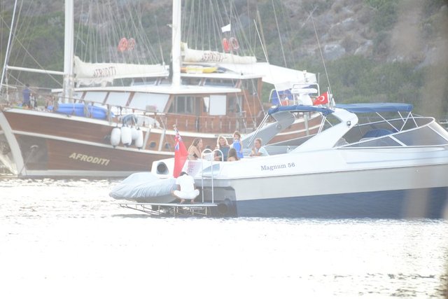 AYŞEGÜL DİNÇKÖK
