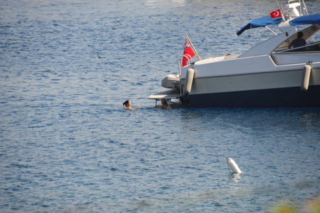 AYŞEGÜL DİNÇKÖK