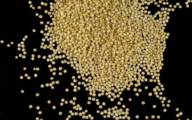 Kuinoa: Bulgur tanesine benzeyen  "glütensiz" bir besindir. Hazmı kolay, protein içeriği yüksektir. Tam taneli tahıllar içerir, B vitamin deposudur ve E vitamini yüksektir.
