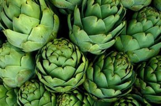 Böbreklerde üre konsantrasyonunu yükseltir ve idrar söktürücü özellik gösterir. Toksin atımında da faydalıdır. Kolesterol düşürücü özelliği olan enginarın yüzde 75'in üzerinde sıvı içeriği vardır. Karbonhidrat içeriği doygunluk hissi sağlar.