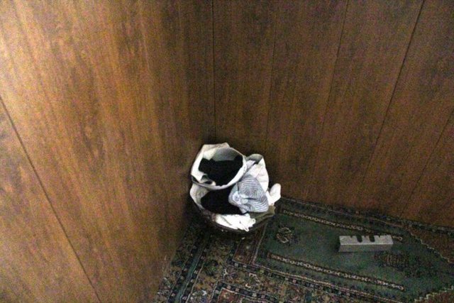 tabanca, pompalı tüfek, bomba süsü verilmiş paket, 35 molotofkokteyli ve bomba yapımında kullanılan çok sayıda malzeme ve kıyafetler ele geçirilmiş, 14 kişi de gözaltına alınmıştı. -  - AA