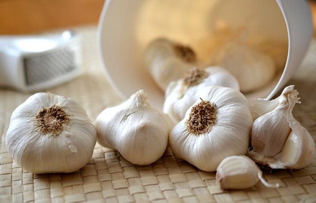 Ancak sarımsağın sağlığa faydaları yüzyıllardır bilinmektedir. -