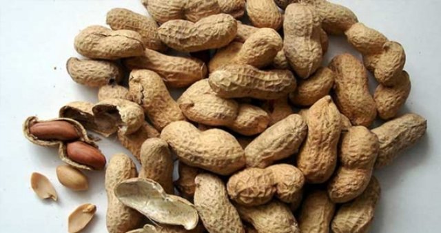 Yer fıstığı, B6 vitamininin iyi bir kaynağıdır. B6 vitamini, gıdaların içindeki protein ile karbonhidratları, bedenin kullanmasına ve depolamasına yardımcı olur.  -