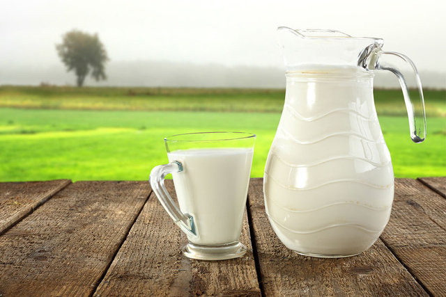 Bu besin grupları içinde yalnızca süt enerji oluşumunda etkili olan karbonhidrat, protein ve yağı bir arada içeriyor.