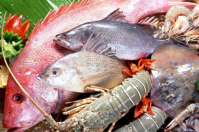 Buğulu ve içe dönük gözlerden kaçının. Kafasından tutunca kuyruğu aşağı doğru değil, tavada durduğu gibi dimdik durmalı. Solungaçları pembe ve solungaç kapakları kapalı olmalı.