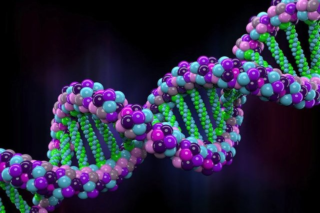 Genetik bir hastalık değil:  - Hemoroid hastalığı genetik bir hastalık değil. Ortaya çıkış ve ilerleme sebepleri tamamıyla kişisel faktörlerle ilintili olan hemoroidler, iç ve dış hemoroid olarak ikiye ayrılıyor.  -