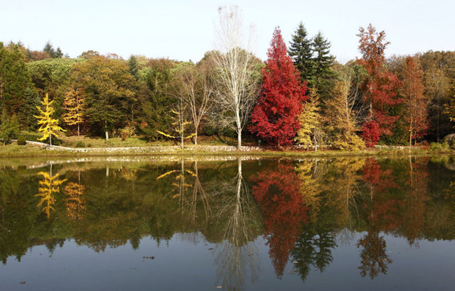 Yeşil alan ağaçların arasında istediğiniz gibi pozlar vererek, ölümsüz fotoğraflara sahip olabilirsiniz. Bu mekanda fotoğraf çektirmek 300 TL civarında.