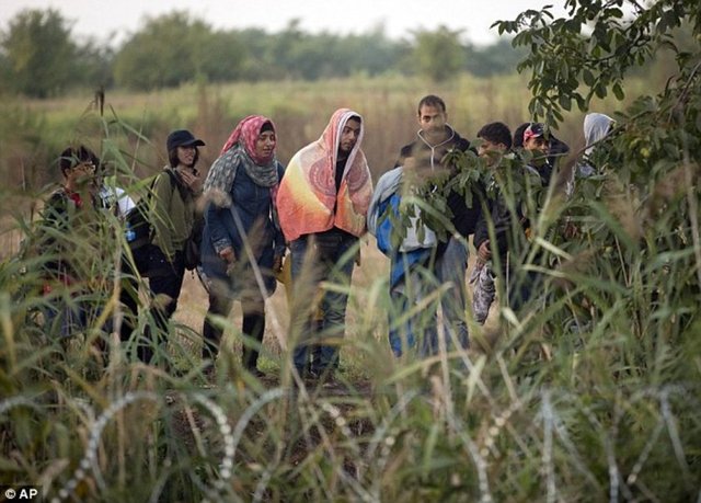 Mültecilere yeni bir hayat sunduğunu vaad eden bu sayfalarda yüzde yüz güvenlik garantisinin karşılığında binlerce lira talep ediliyor.  -