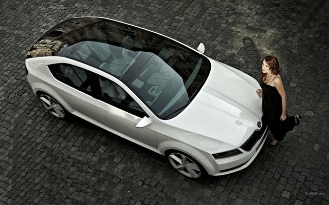 Skoda   - Aldatma Oranı: - Yüzde 11