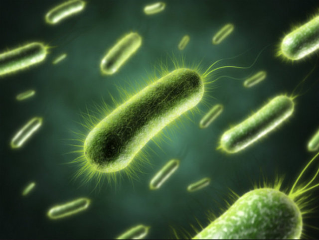 Mantar ve bakteri enfeksiyonları daha sık görülür.