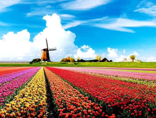 Hollanda	 - İkinci çeyrek GSYH artışı (Yıllık-Yüzde): 2,0 -