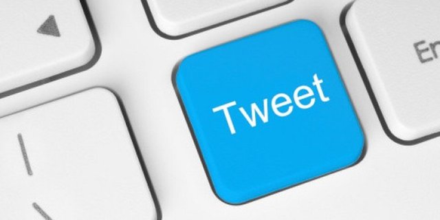 •İlgili olabileceği düşünülen eldeki her türlü içerik (diğer web sitelerinden gelen tacizkar davranışla ilgili deliller gibi) sağlanmalı.