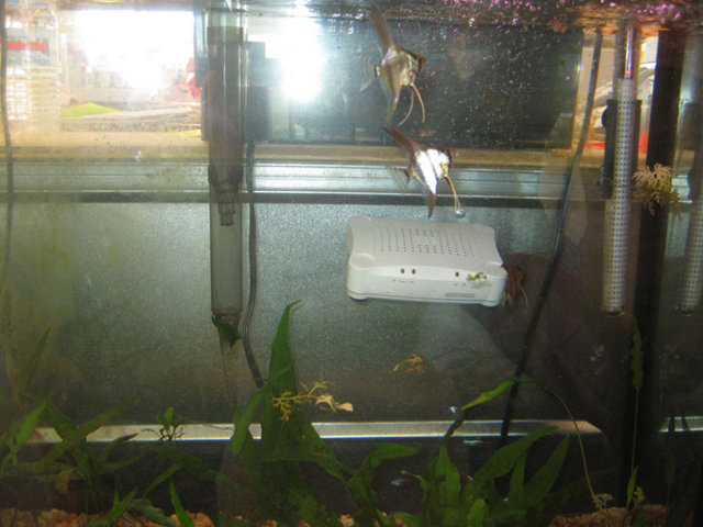 Balık fanusları çevresinde olan modeminizin yerini değiştirin. 