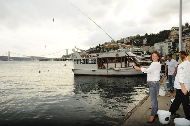 DUYGU BESNİLİ