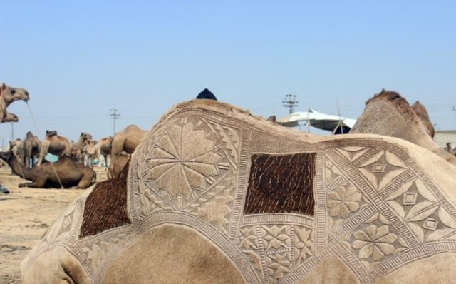 Tüccarlar berberlere bu işlem için yaklaşık 50 dolar ödüyor.