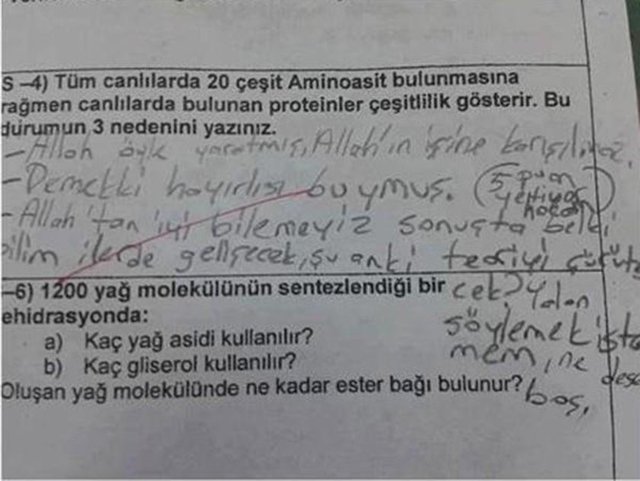 İşte birbirinden komik sınav cevapları..