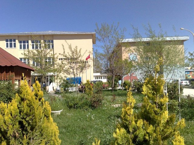 42-YÜZÜNCÜ YIL ÜNİVERSİTESİ