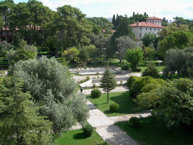 19-DOKUZ EYLÜL ÜNİVERSİTESİ