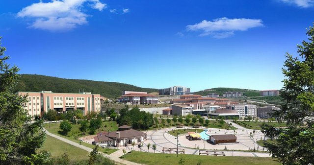 49- DÜZCE ÜNİVERSİTESİ