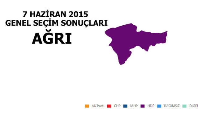 HDP: %78.22 - MİLLETVEKİLİ SAYISI: 4 - AK PARTİ: %15.83  - MİLLETVEKİLİ SAYISI: 0 - MHP: %2.57 - MİLLETVEKİLİ SAYISI: 0 - CHP: %1.02 - MİLLETVEKİLİ SAYISI: 0
