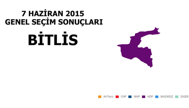 HDP: %60,36 - MİLLETVEKİLİ SAYISI: 2 - AK PARTİ: %30,93 - MİLLETVEKİLİ SAYISI: 1 - MHP: % 3,91 - MİLLETVEKİLİ SAYISI: 0 - CHP: %1,34 - MİLLETVEKİLİ SAYISI: 0 - BAĞIMSIZ: %1,11 - MİLLETVEKİLİ SAYISI: 0