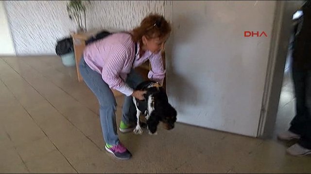 Bir vatandaş ta oy vermeye köpeğiyle birlikte gitti.
