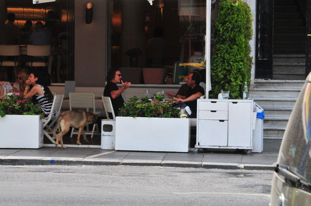 FEHMİ, ZEKİ ZORLU