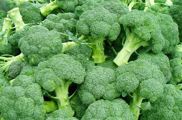 BROKOLİ - Güçlü bir kanser savaşçısı olduğunu vurgulayan uzmanlar, yemek borusu, mide, bağırsak kanserleri tehlikesini azalttığını ifade ediyor.