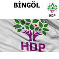 HDP Milletvekili listesi