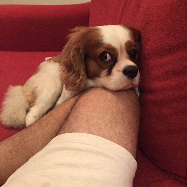 BÜLENT PARLAK Dizimin dibi