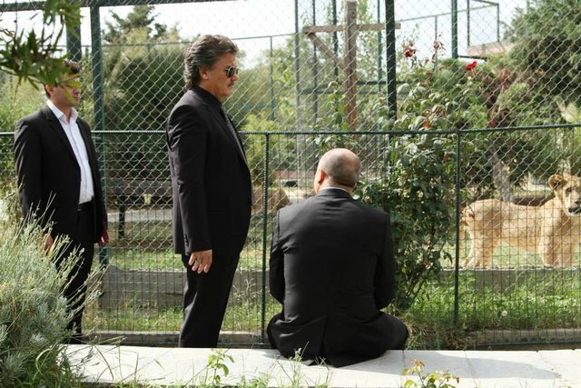 Mayıs Kraliçesi Salı günü başlıyor!