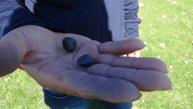 TÜBİTAK'A BİLDİRDİ - Bingöl'de devlet memuru olan Tuğçe Özduman, gökyüzünde yaşananların şokunu atlatır atlatmaz TÜBİTAK'ı arayarak gördüklerini yetkililere bildirdi.
