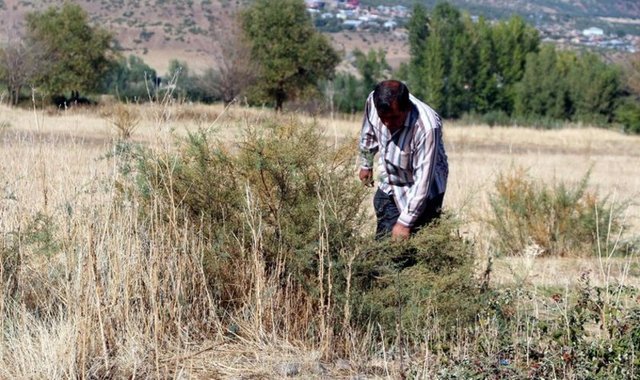 Geçen hafta sadece 200 bin dolar döviz bıraktılar. İnşallah bu taştan herkes bulur. Gariban insanlar hep arıyor. Onların daha çok ihtiyacı var" dedi.