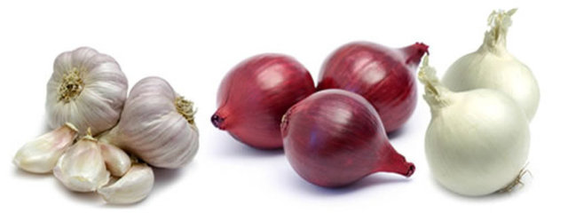 Peki bunların yanında sarımsağı nasıl seçmeliyiz?  - 1. Kuru Sarımsak seçerken, tanelerin bulunduğu kafa kısmının kırılmamış, kuru, geniş, temiz ve sağlam olmasına dikkat edin.