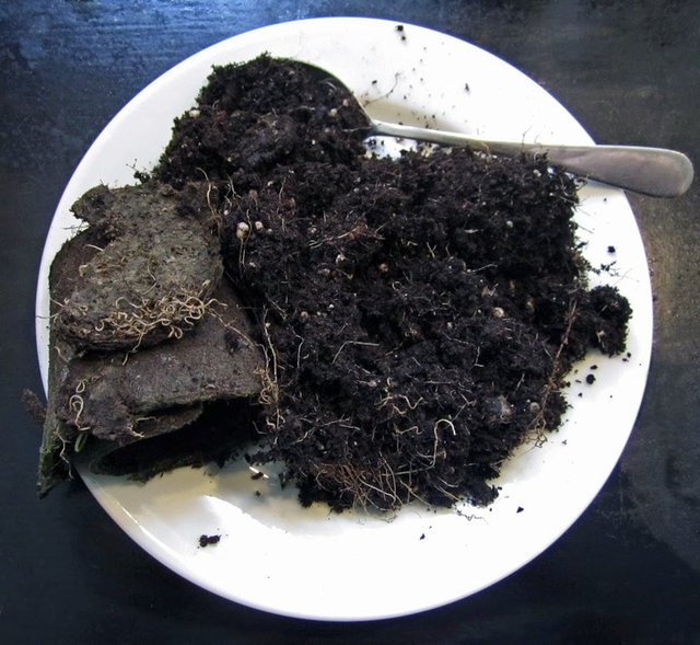 Entelektüel ve gelişimsel bozuklukları, beyin hasarı olan çocuklara, epilepsi hastalarına da pika eşlik edebiliyor.