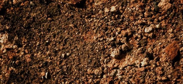 Demir, kalsiyum, çinko, B1 vitamini, B6 vitamini gibi eksikliklerde de pika sendromu görülebildiğini bildirmişse de asıl nedeni açıklanamamış.