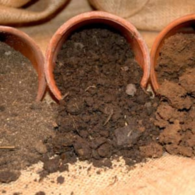 Besin eksikliklerinin araştırılması, çocuğun psiko-sosyal ve nörolojik gelişiminin değerlendirilmesi şart, Bu aşamada gerek duyulması halinde, çocuk nörolojisine ve çocuk psikiyatrisine yönlendirilebilir.