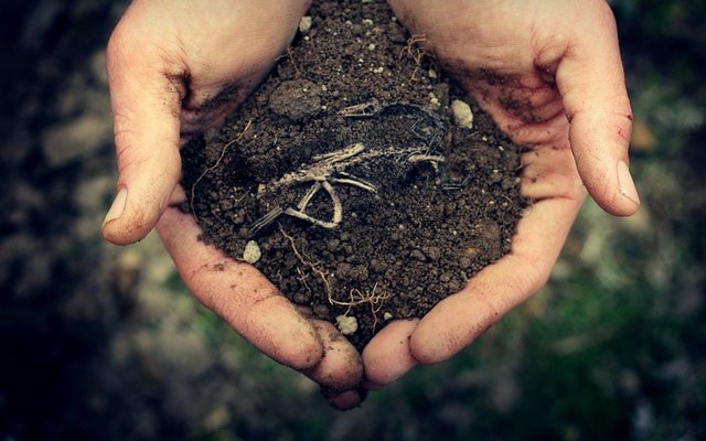 Çocuk istismarı gibi ağır depresyona veya agresyona yol açabilecek durumlar konusunda da aile ve doktor bilinçli olmalıdır.  Yeşilay