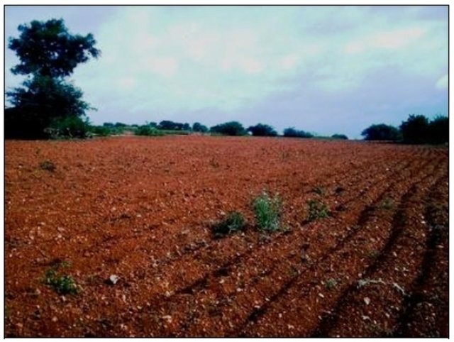 Pika olan çocuk nasıl tedavi edilir? Pika sendromu olan çocuğun takibi altta yatan nedene göre değişiyor. Öncelikle çocuğun tam bir sistemik muayenesi için doktora götürülmesi gerekiyor.