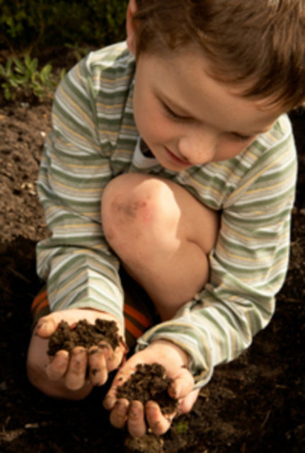 Pika sendromu (yabancı madde yeme alışkanlığı) olarak adlandırılan bu rahatsızlık, kimi zaman gerçekten vücuttaki bir vitamin eksikliğinden kimi zaman da psikolojik sorunlardan kaynaklanıyor.