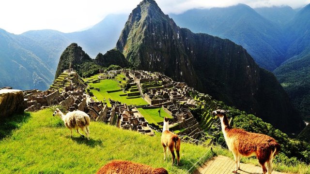 46- BOLİVYA	2015/ 3. ÇEYREK: 42,512 2014/ 3. ÇEYREK: 42,518 -