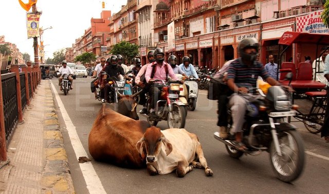 11- HİNDİSTAN	2015/ 3. ÇEYREK: 557,747 2014/ 3. ÇEYREK: 557,743 -