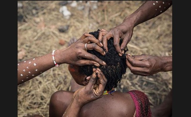 Kabileler her yıl olduğu gibi bu yıl da geleneksel kıyafetlerini giyerek vadiye çıktı.