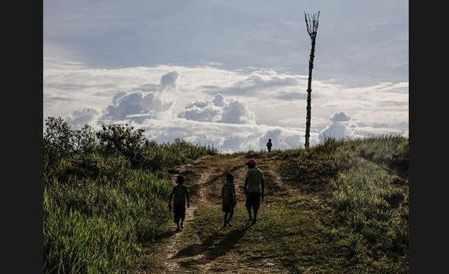 Yaşamak için daha çok vadinin yüksek kesimlerinin tercih edilen Papua Adası'nda, 250 bin Dani yerlisinin yaşadığı tahmin ediliyor.