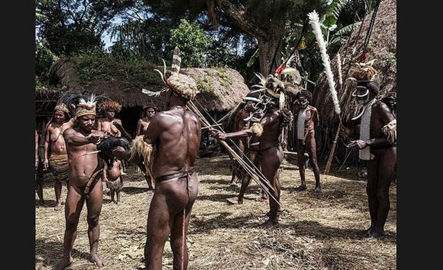 Endonezya'daki Papua Adası'nda yaşayan Dani, Lani ve Yali kabileleri 25. Baliem Vadisi Festivali'ne hazırlanıyor.