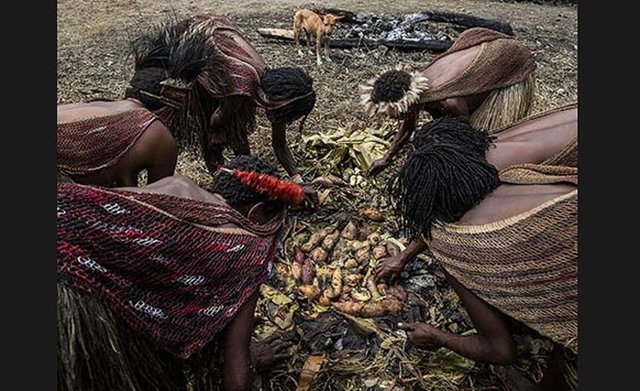 Çiftçilikle ve avcılıkla uğraşıyorlar. Sebze ağırlıklı ve bir tür tatlı patatesle besleniyorlar.