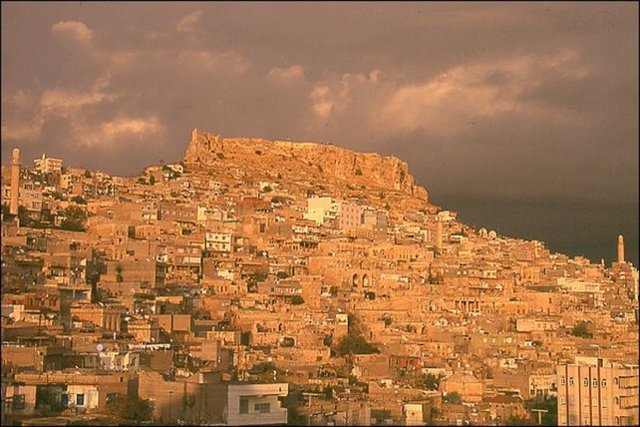 MARDİN - TOPLAM DÖVİZ MEVDUATI: 514474000 TL